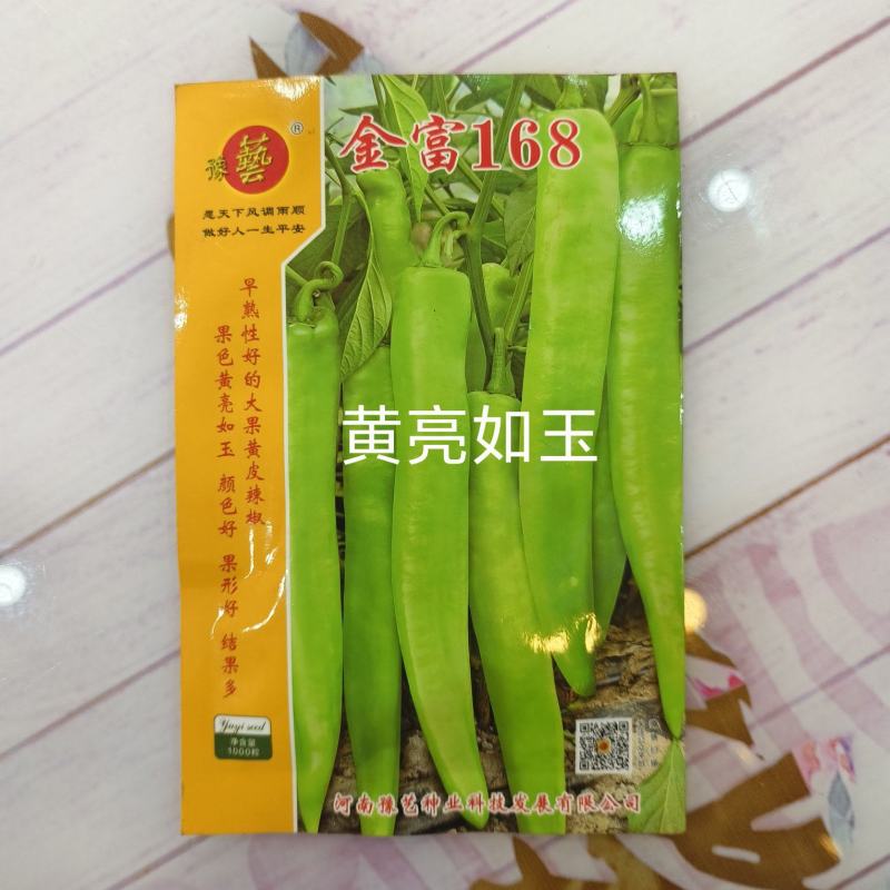 金富168黄皮大辣椒种子早熟叶片小单果100克长28厘米