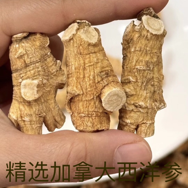 精选加拿大西洋参颗粒花旗参原丛软枝正品进口可帮切片磨粉