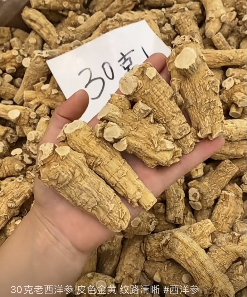 精选加拿大西洋参颗粒花旗参原丛软枝正品进口可帮切片磨粉