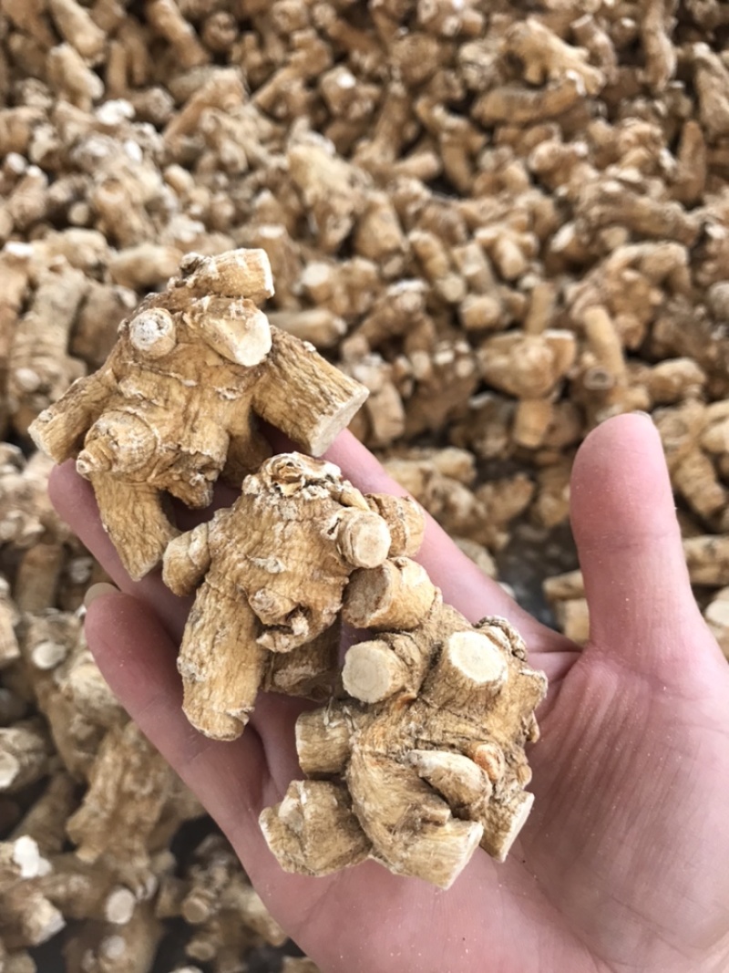 精选加拿大西洋参颗粒花旗参原丛软枝正品进口可帮切片磨粉
