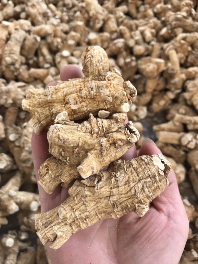 精选加拿大西洋参颗粒花旗参原丛软枝正品进口可帮切片磨粉