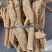 精品大统牛**靓全国发货