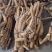 精品大统牛**靓全国发货
