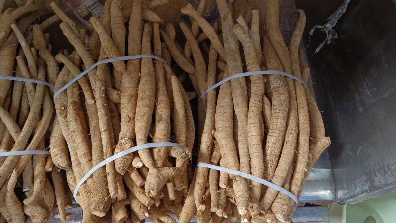 天花板黄皮小叶大统牛够漂亮大条一等货色