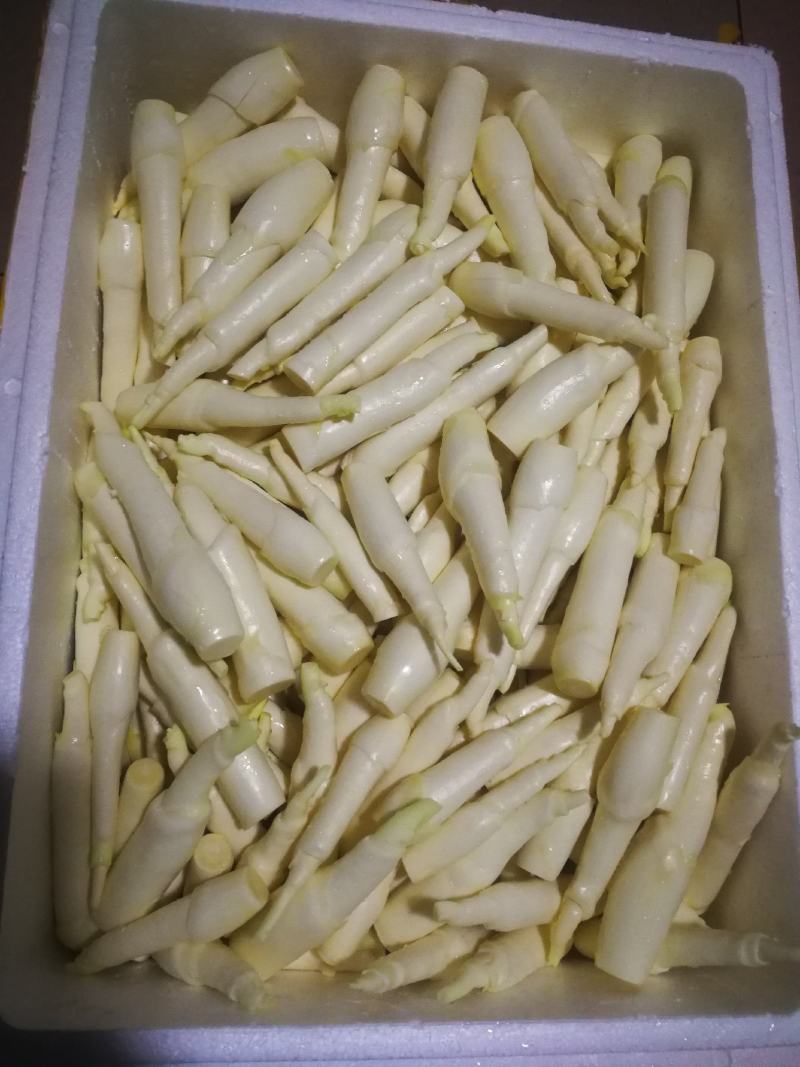 精品茭白