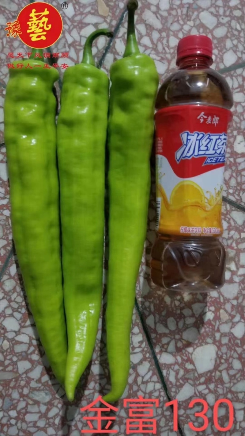 金富168黄皮大辣椒种子早熟叶片小单果100克长28厘米