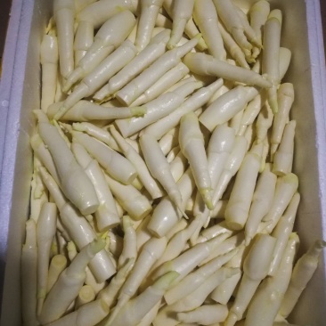 精品茭白