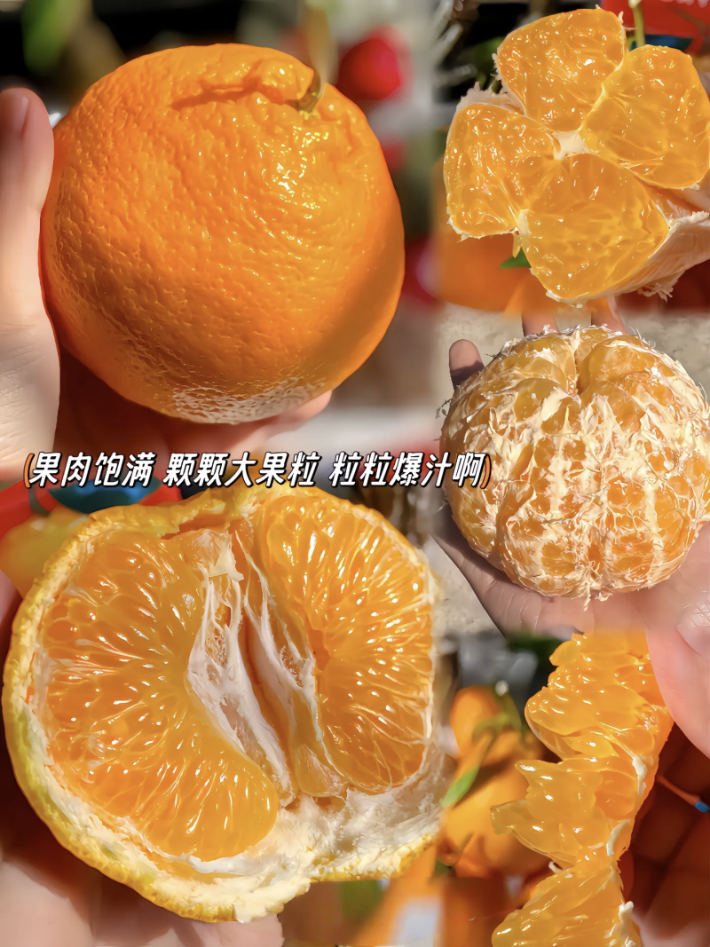 春见耙耙柑甜得扣卡