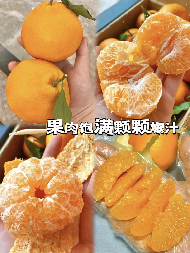 春见耙耙柑甜得扣卡