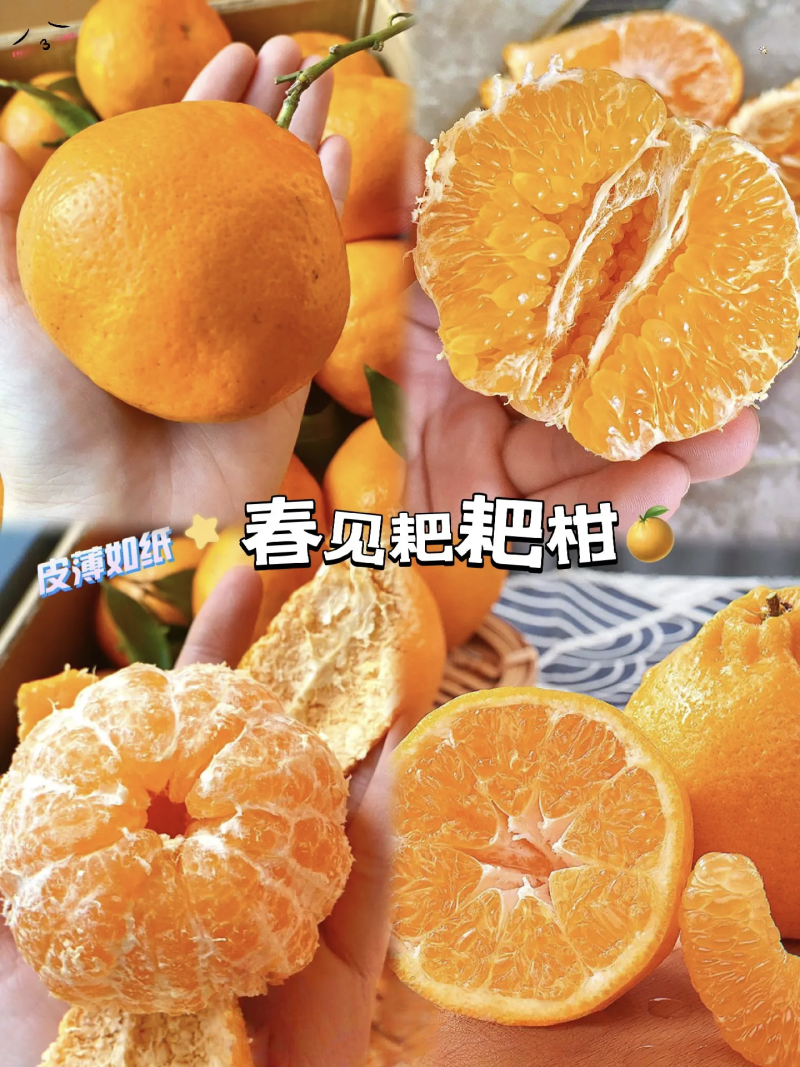 春见耙耙柑甜得扣卡
