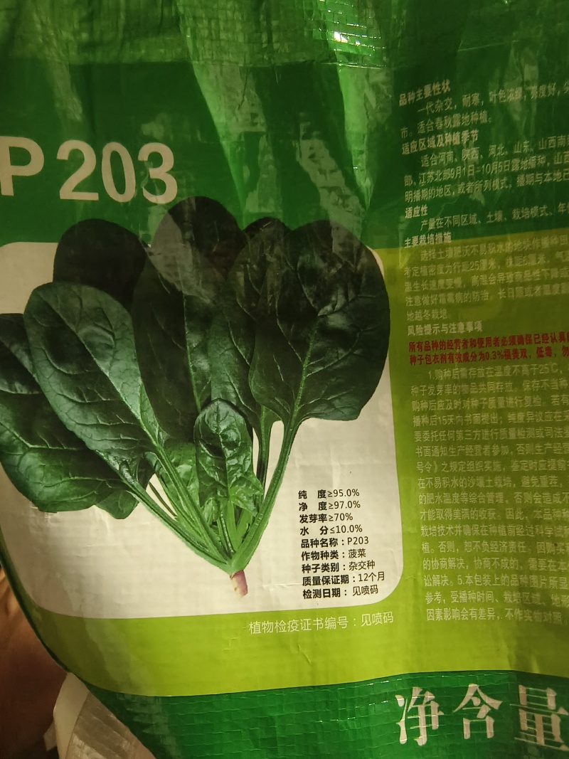半直立菠菜种子圆形厚叶耐寒叶肉厚品质好一亩地3斤