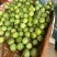 百香果