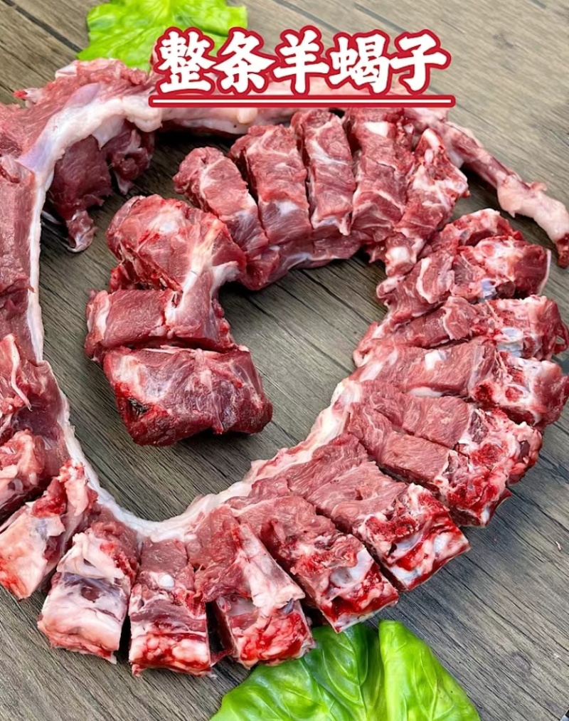 羊蝎子多肉