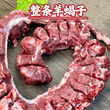 羊蝎子多肉