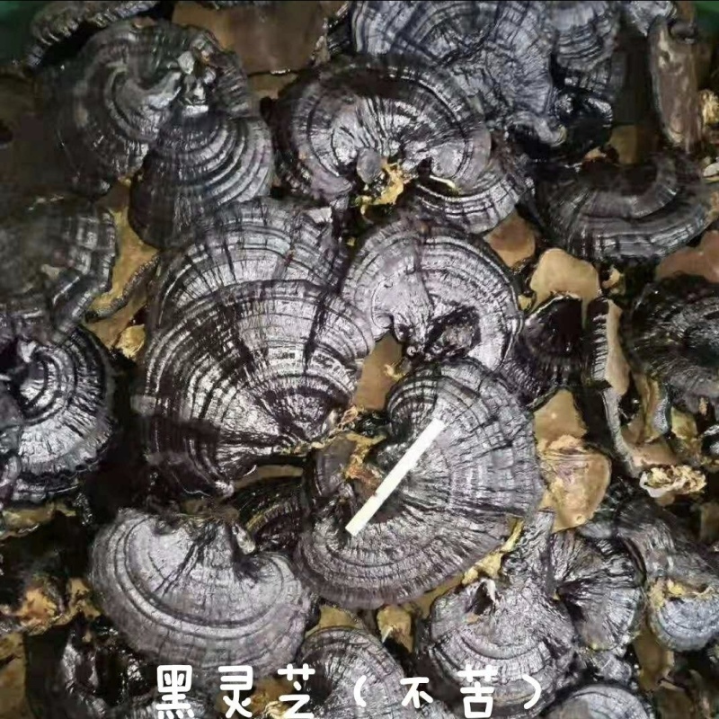 黑灵芝，黑芝，不苦，可煲汤煮汤泡茶，自产自销，物美价廉