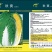 龙芽皇二号白菜种子橙红色叶柔叶多富胡萝卜素和番茄红素70