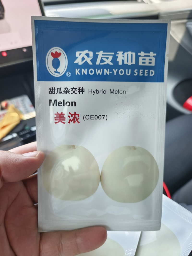 雪蜜1号F1白皮白肉甜瓜种子圆形糖20度500g一800