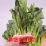 农九板蓝根菜心板蓝根菜苔含板蓝根成份授权省市代理商