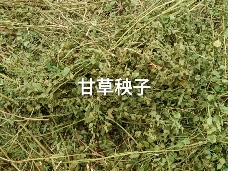 甘草秧子甘肃玉门优质大捆小捆甘草秧子喂牛羊饲草