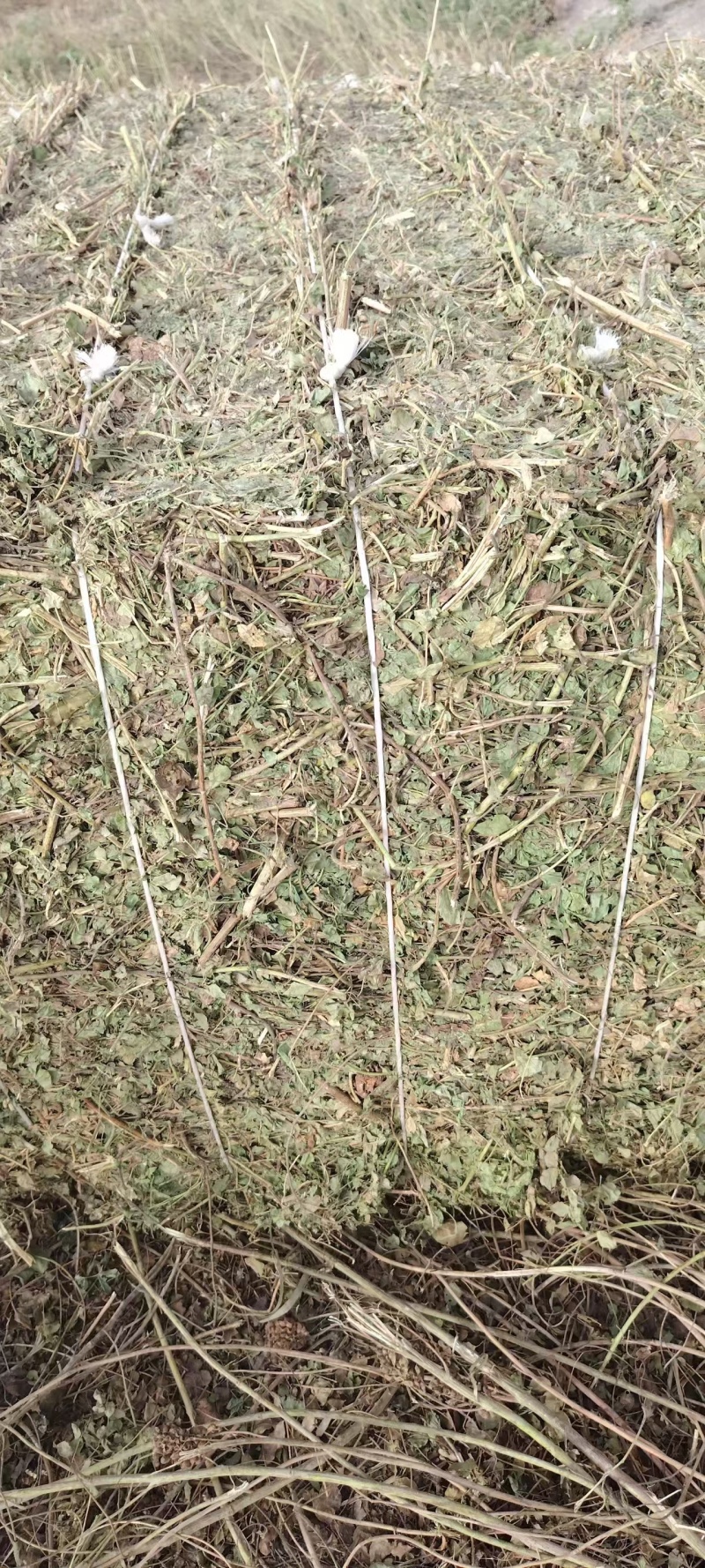甘草秧子甘肃玉门优质大捆小捆甘草秧子喂牛羊饲草