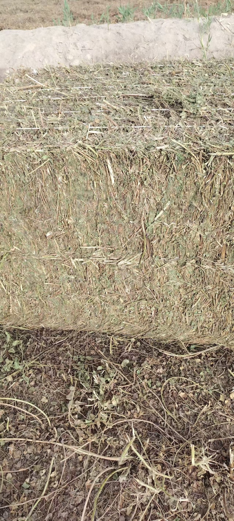 甘草秧子甘肃玉门优质大捆小捆甘草秧子喂牛羊饲草