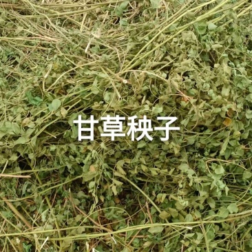 甘草秧子甘肃玉门优质大捆小捆甘草秧子喂牛羊饲草