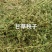 甘草秧子甘肃玉门优质大捆小捆甘草秧子喂牛羊饲草