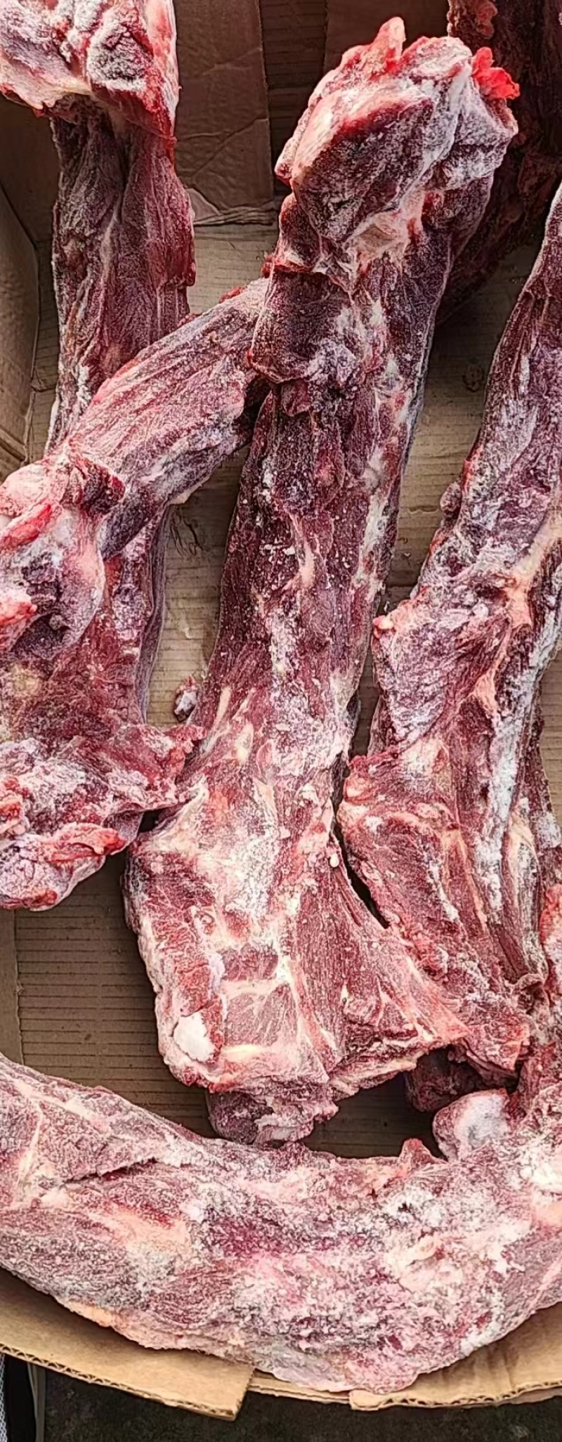 多肉驴脊骨驴蝎子量大价格优惠驴脊骨驴肉欢迎来电