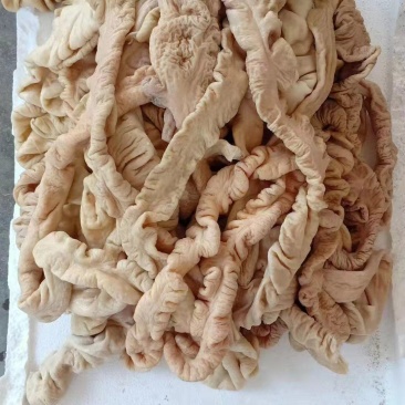 猪大肠，预煮熟大肠，一件代发量大从优，感兴趣欢迎光临！