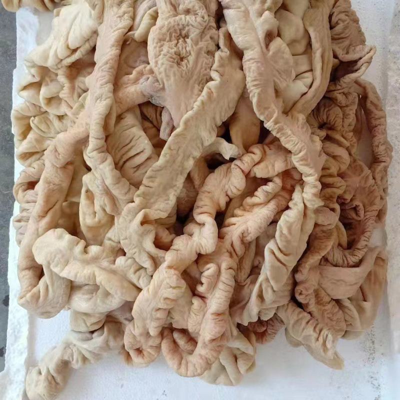 猪大肠，预煮熟大肠，一件代发量大从优，感兴趣欢迎光临！