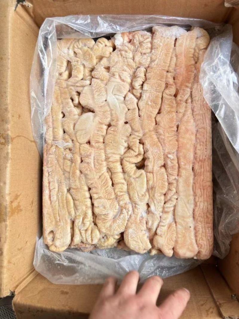 猪大肠，预煮熟大肠，一件代发量大从优，感兴趣欢迎光临！