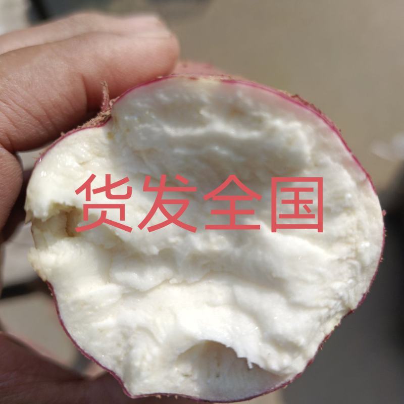 徐薯18，25，淀粉薯精选无虫眼光滑，电商超市全国发货