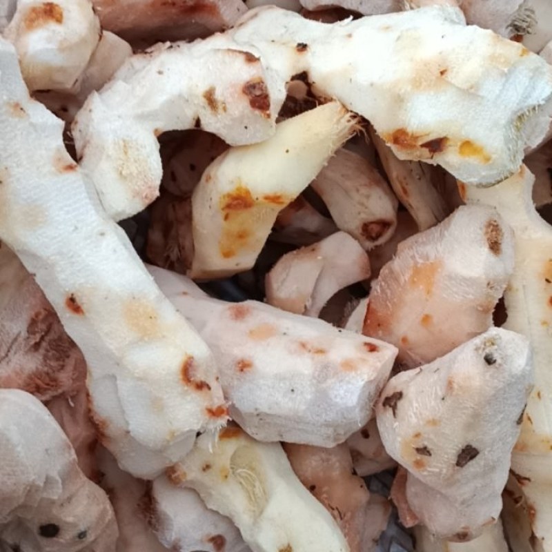 云南白肉土茯苓
