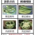 熊蜂授粉熊蜂