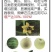 熊蜂授粉熊蜂