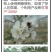 熊蜂授粉熊蜂