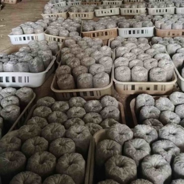 专用电商包1.2斤左右划口即出