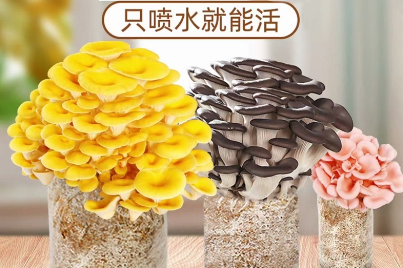 专用电商包1.2斤左右划口即出
