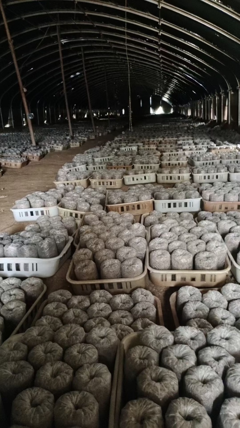 专用电商包1.2斤左右划口即出