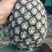 菠萝