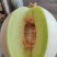 玉姑甜瓜