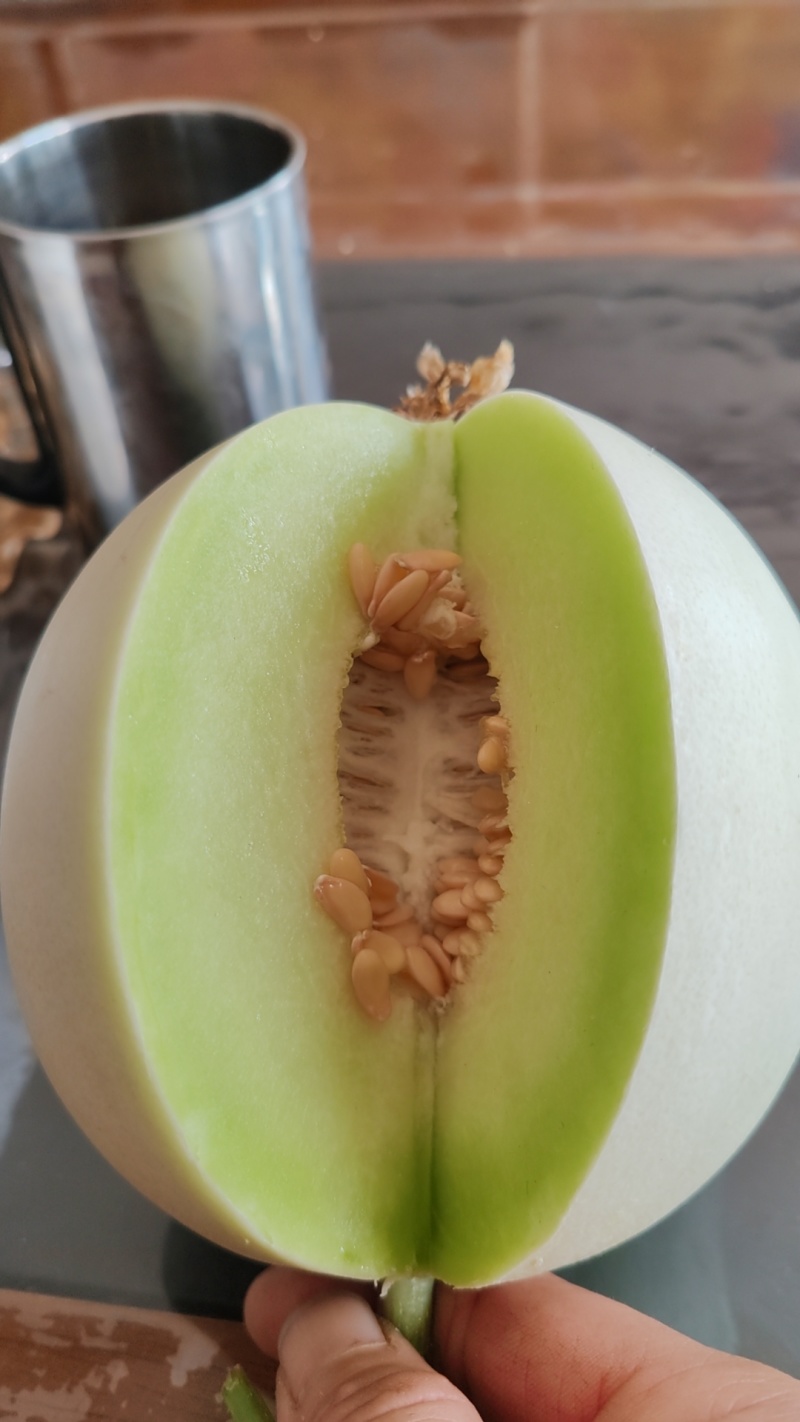 玉姑甜瓜