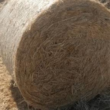 稻草圆方包半成品