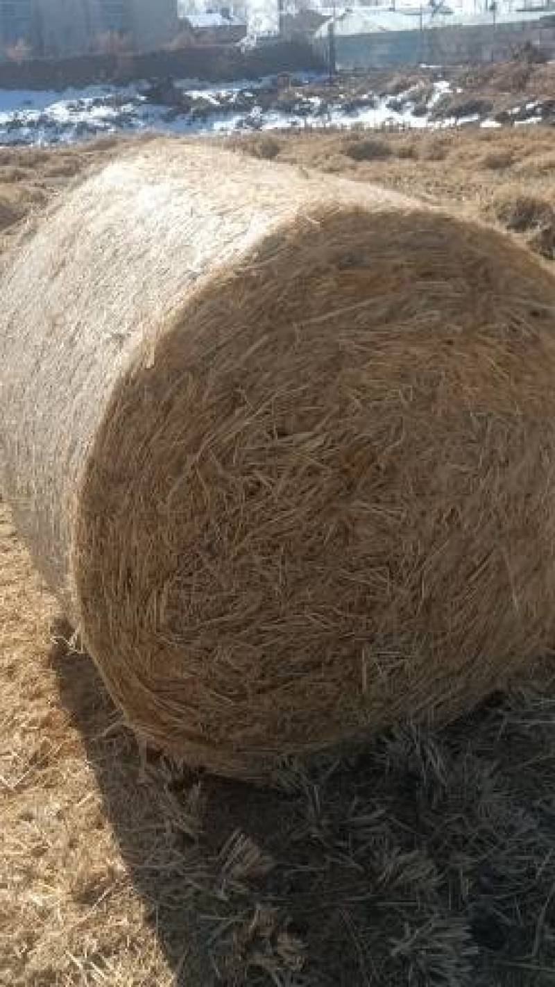 稻草圆方包半成品