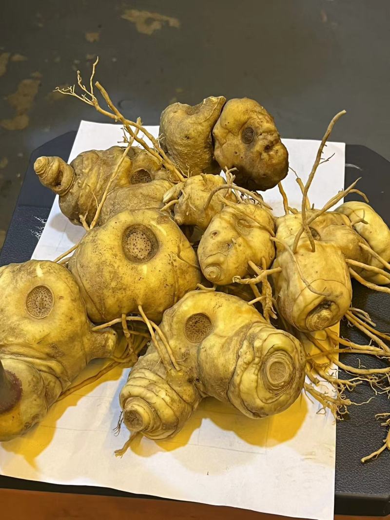 黄精云南产地野生黄精货源充足质量保证，量大请致电联系