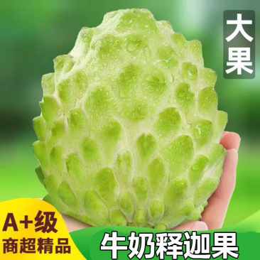 牛奶释迦果一级果电商平台一件代发零售包邮