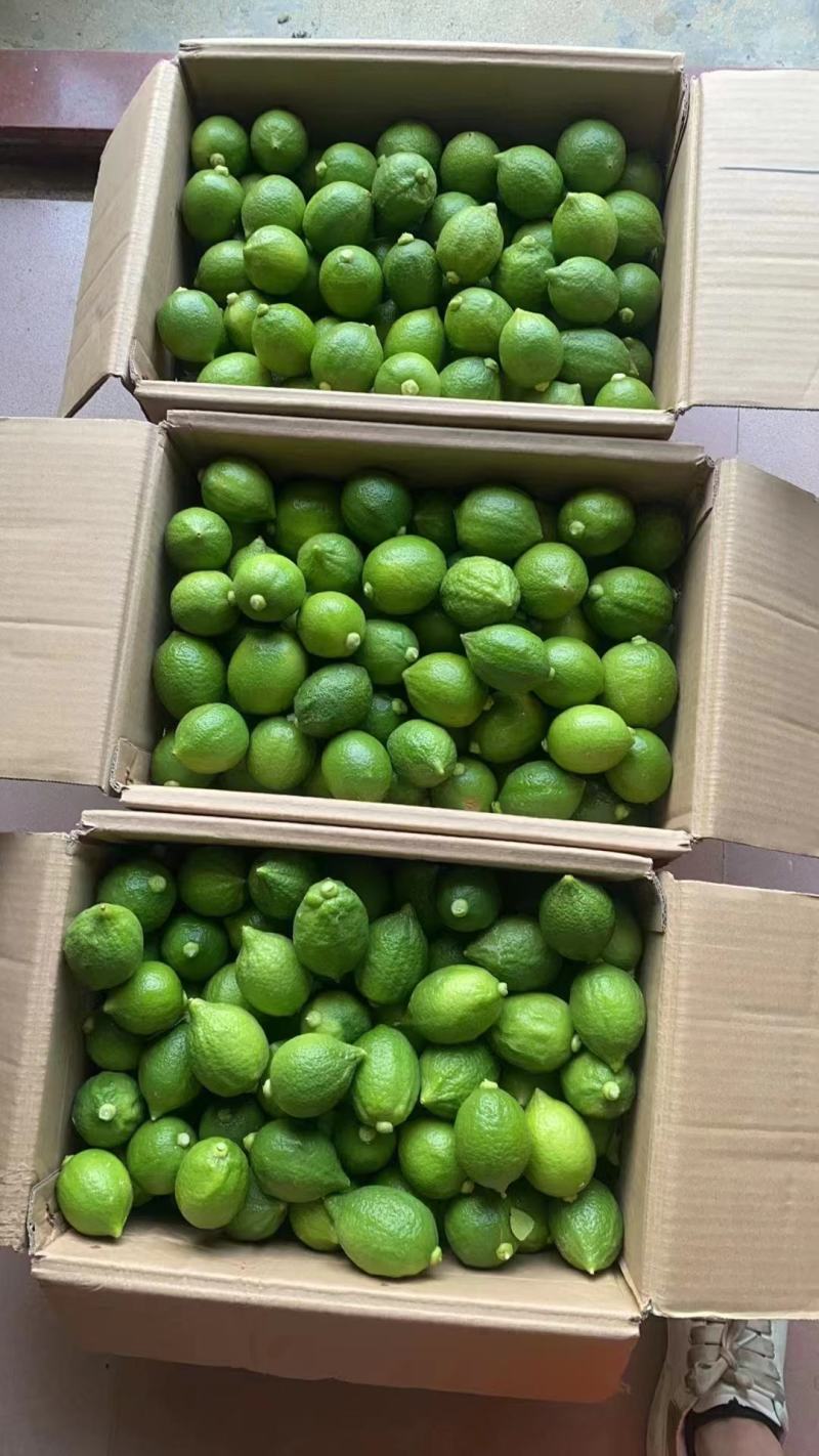 柠檬大量供货产地直发价格优惠支持视频看货欢迎来电