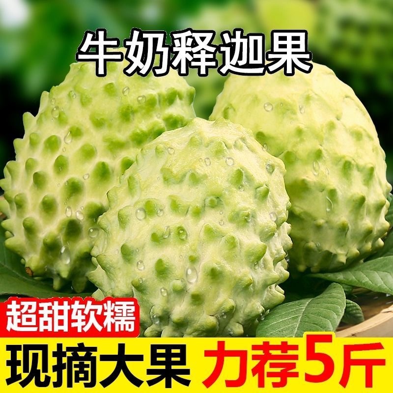 牛奶释迦果一级果电商平台一件代发零售包邮