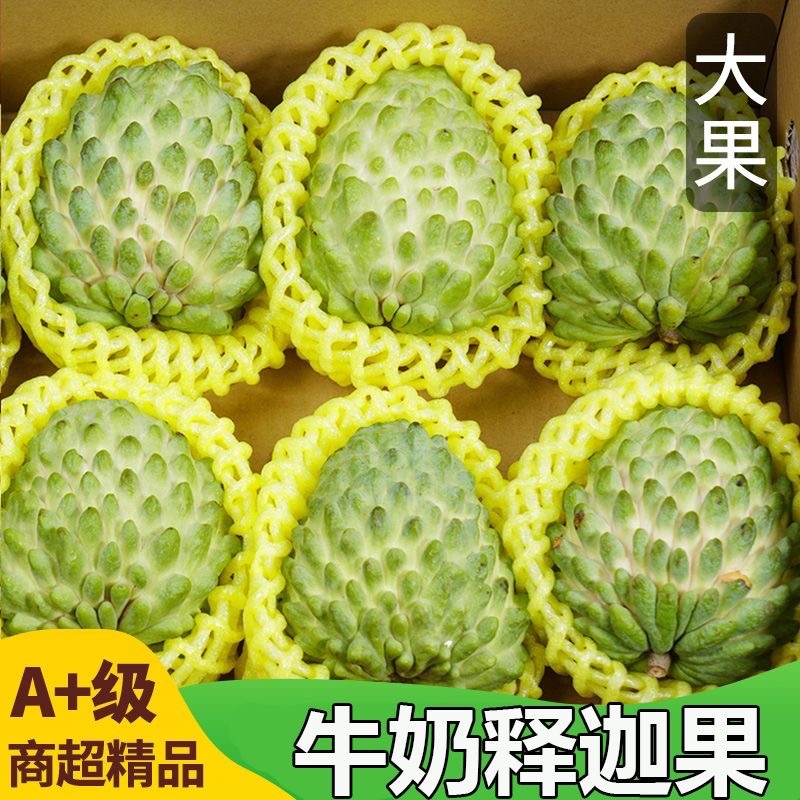 牛奶释迦果一级果电商平台一件代发零售包邮