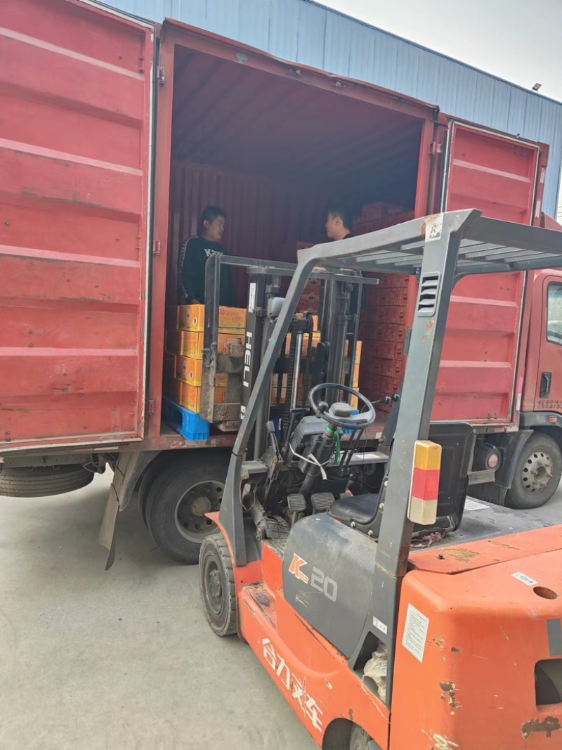 【重口欢】鸡蛋干自家工厂生产诚信经营保质保量